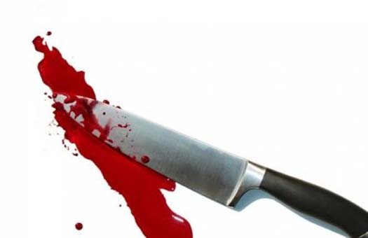 Душевнобольная женщина на Буковине порезала ножом себя и своих детей