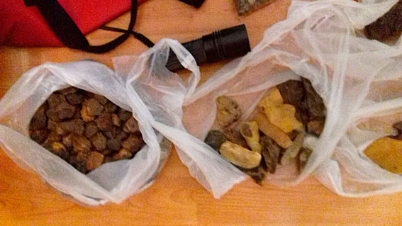 В Ровенской области правоохранители изъяли янтарь на сумму более полумиллиона гривен