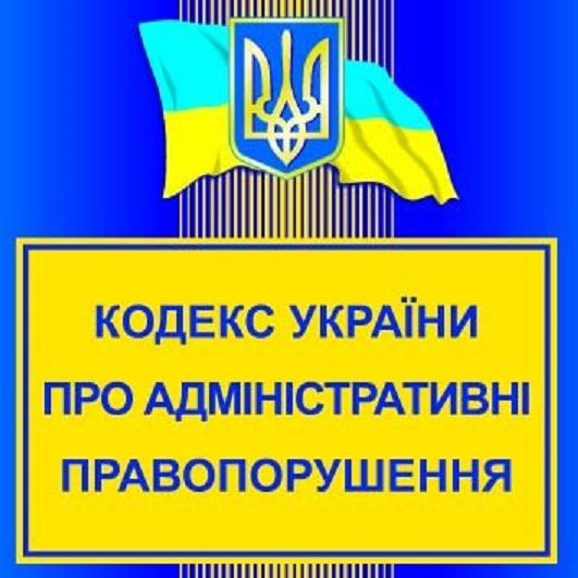 Более 500 иностранцев привлечены к административной ответственности за нарушение правил пребывания в Украине