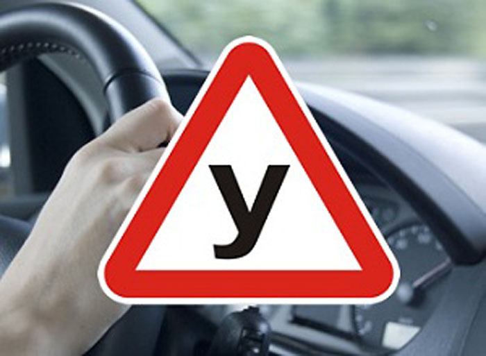 Замдиректора автошколы предстанет перед судом за подлог