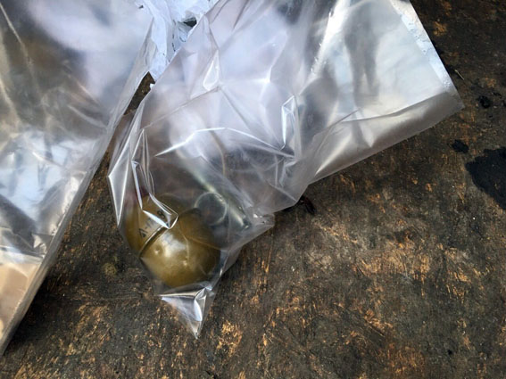 Полиция Волновахи изъяла у иностранца гранату