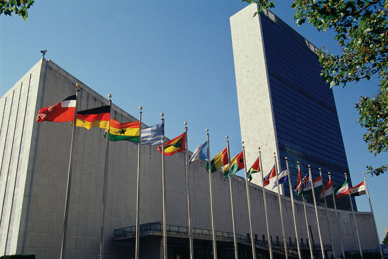 МИД прокомментировало работу Миссии ООН по правам человека