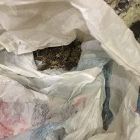 В центре Ужгорода пресечена деятельность "наркомаркета"