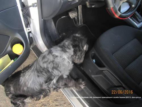 На границе служебная собака нашли у немца оружие