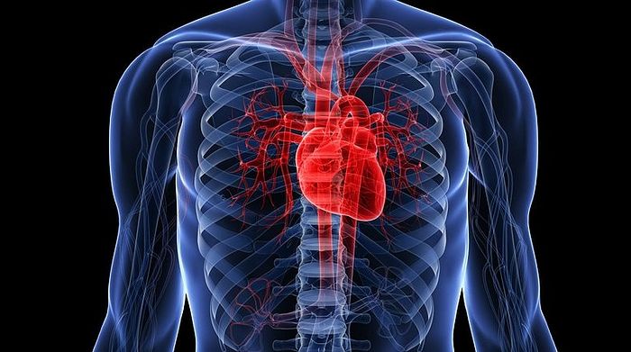 Украинскими врачами впервые имплантировано механическое сердце