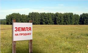 Суд вернул земельные участки, стоимостью свыше 18 млн. грн