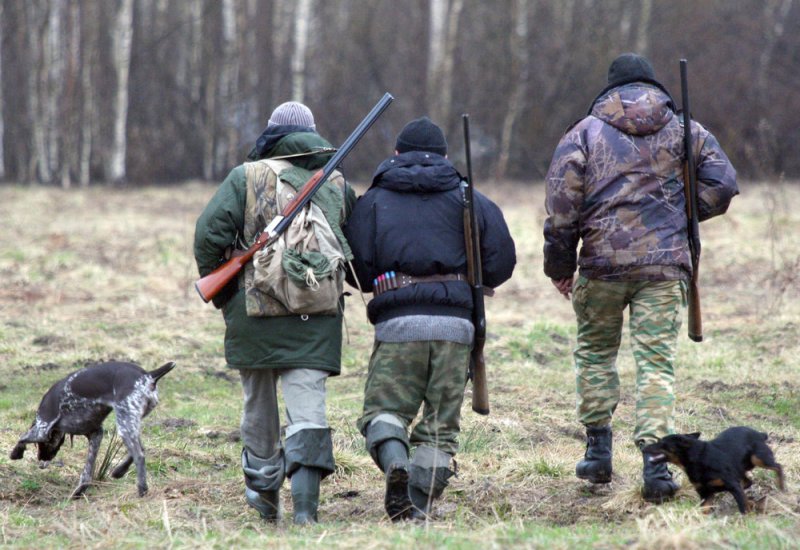 За незаконную охоту в Украине хотят сажать