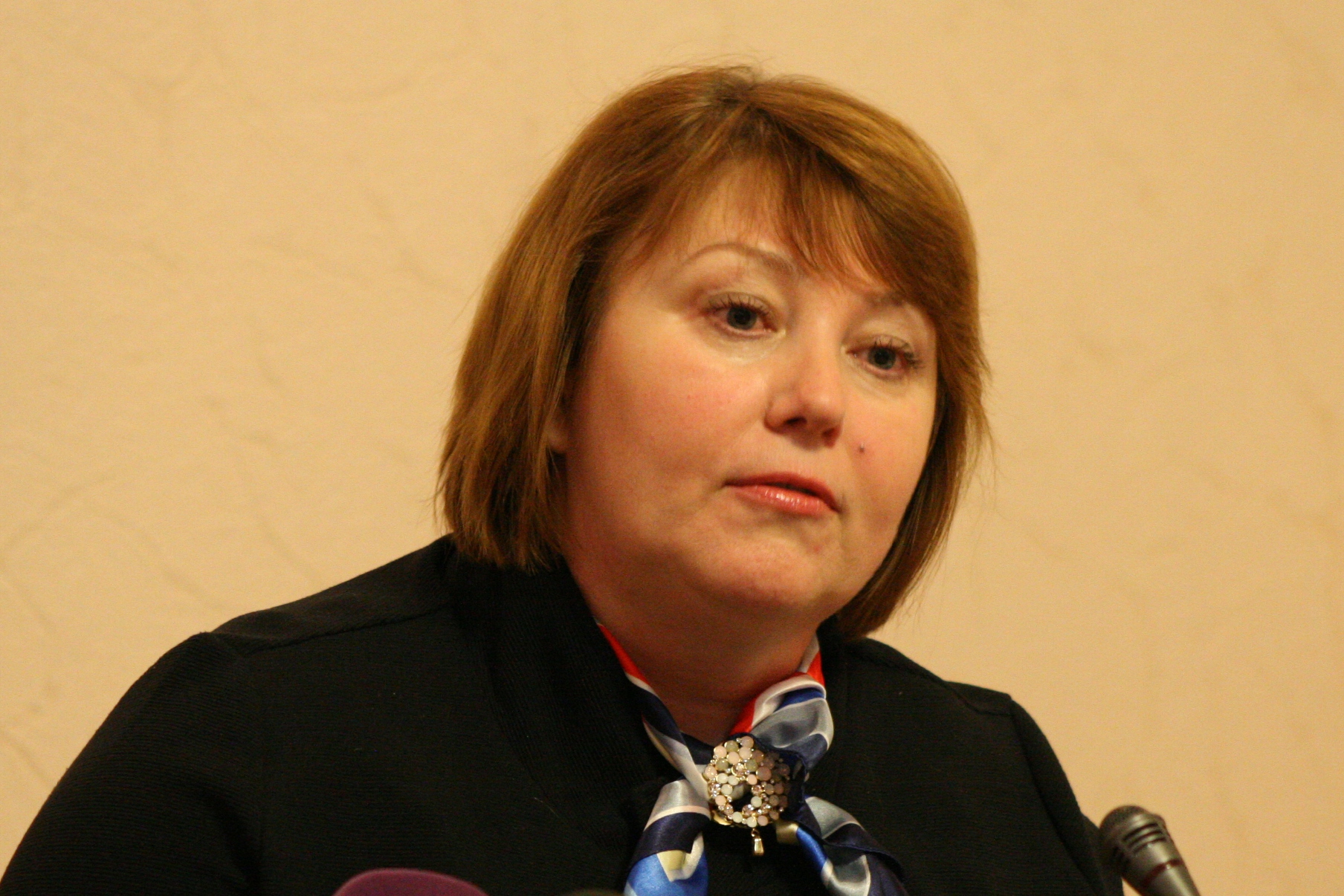 Судьи должны учитывать проблемы при подаче деклараций, — председатель Совета судей В. Симоненко