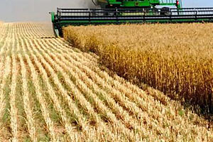 Украина получит 400 млн евро кредита на аграрную отрасль