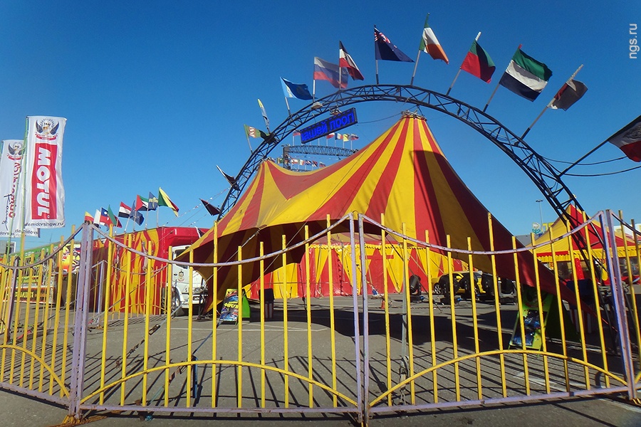 В Киеве могут запретить передвижные цирки