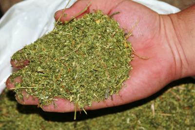У жителя Черниговщины обнаружили мешок с 8 кг марихуаны 