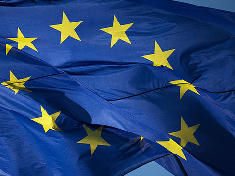 ЕС выдал больше всего временных разрешений на проживание украинцам