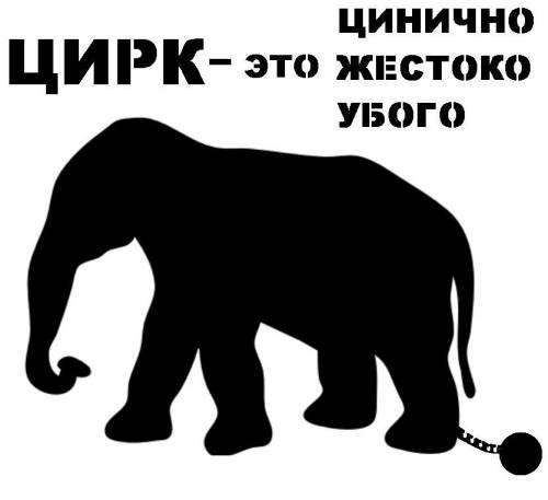 В Украине могут запретить цирки с животными 