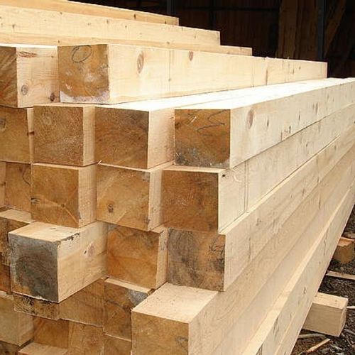 Разоблачен механизм по отмыванию денег на продаже древесины