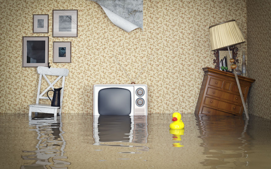 Юридические советы: что делать, когда затопили квартиру