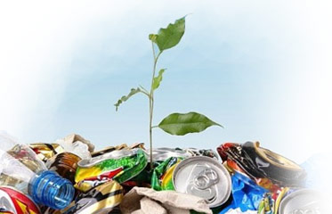 Киев намерен максимально перерабатывать мусор