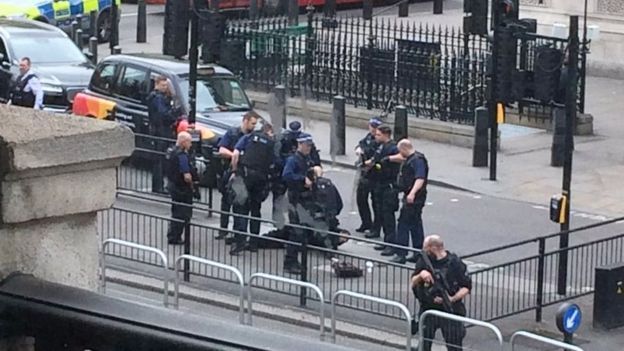 Возле Лондонского парламента задержали мужчину с холодным оружием. Опубликованы фото