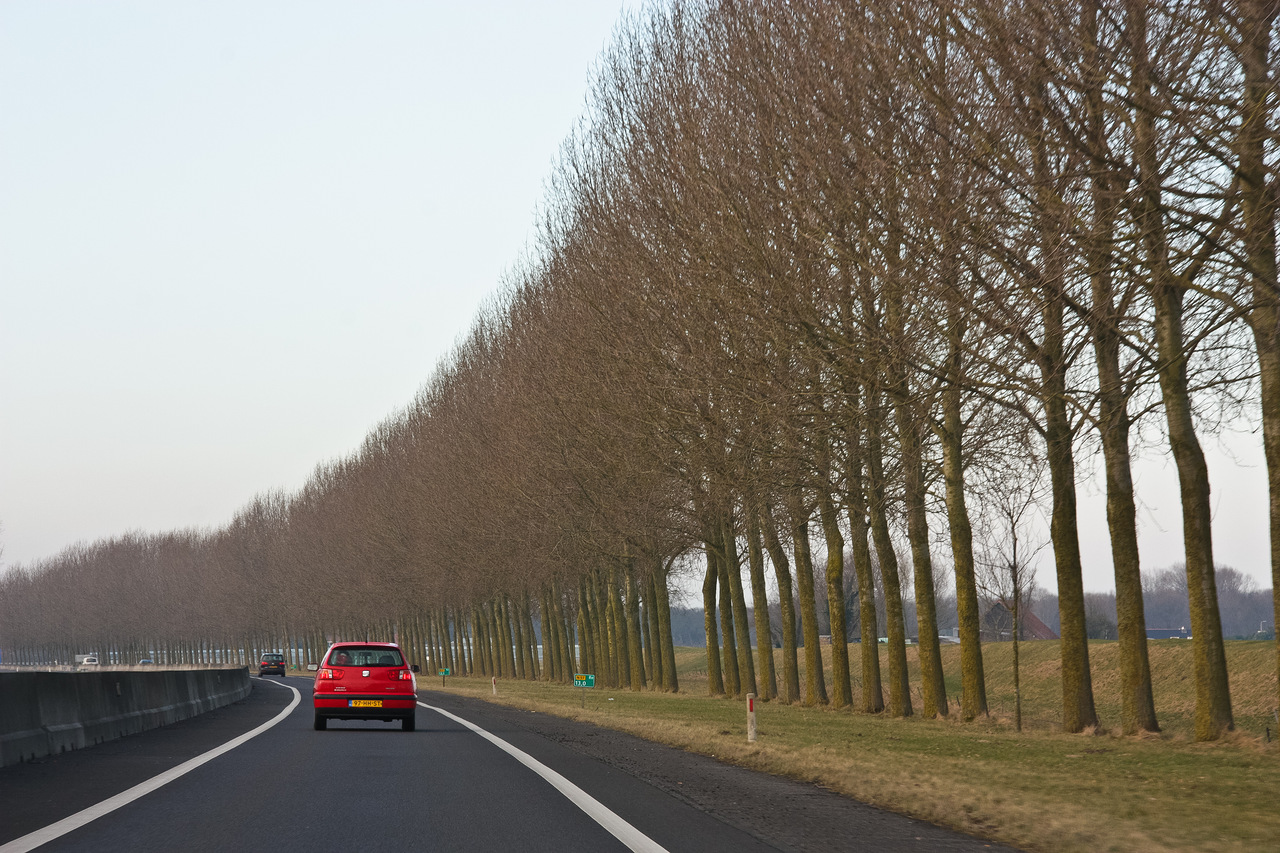 Новый асфальт в Голландии сможет заряжать автомобили